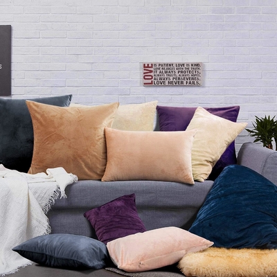 NTBAY 2 แพ็ค ซิปเปอร์ ผ้าใบหมอน ผ้าใบหมอน ผ้าใบหมอน ผ้าใบหมอน 20x36